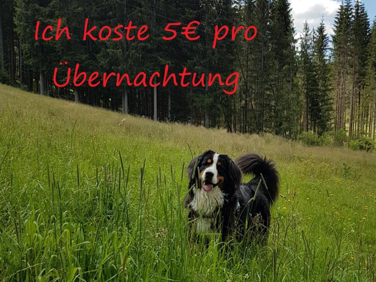 Ferienwohnung Börner Feldberg  Exterior foto